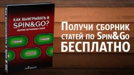 Не упусти возможность бесплатно получить самоучитель по Spin&Go