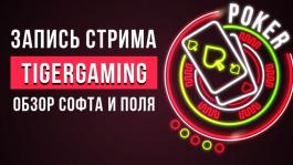 TigerGaming (Chico): Обзор и тест рума утром! nl25 - nl100